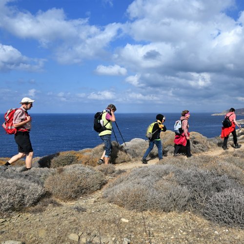 Eastern Cyclades; Andros, Tinos, Syros